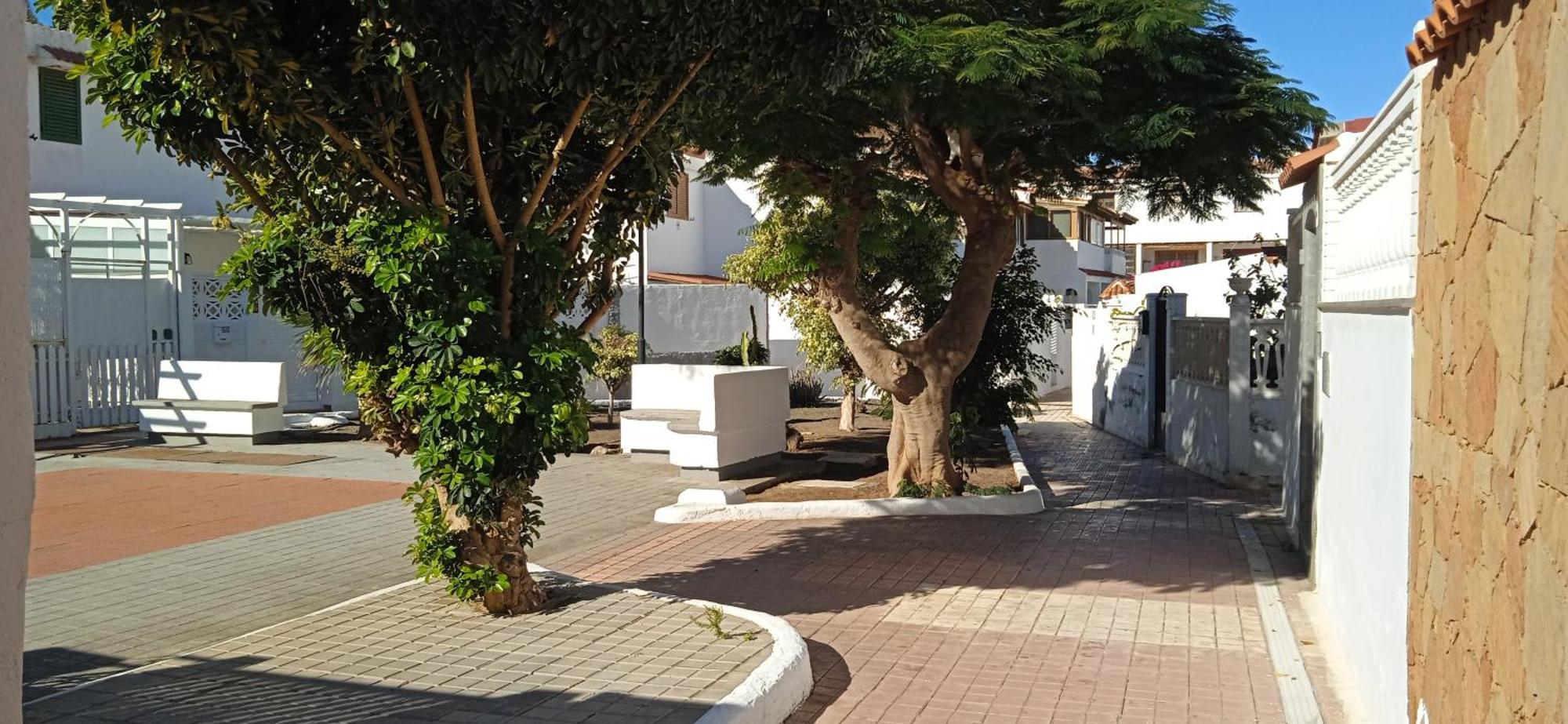 Oasis El Palmeral De Agaete Agaete  Exterior photo